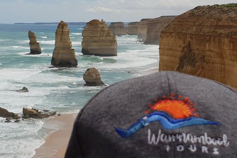 12 Apostles Tour From Warrnambool - Accommodation Resorts 4