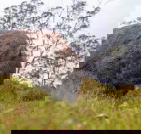 3-Day Cradle Mountain Photography Workshop - Accommodation Resorts