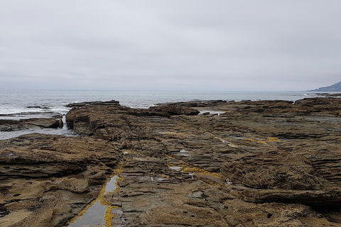 Luxury Private Great Ocean Road Tour Up To 11 People - Entire Vehicle - Accommodation Resorts 1