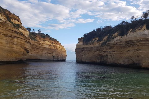 Luxury Private Great Ocean Road Tour Up To 11 People - Entire Vehicle - Accommodation Resorts 2