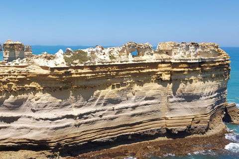 Luxury Private Great Ocean Road Tour Up To 11 People - Entire Vehicle - Accommodation Resorts 4