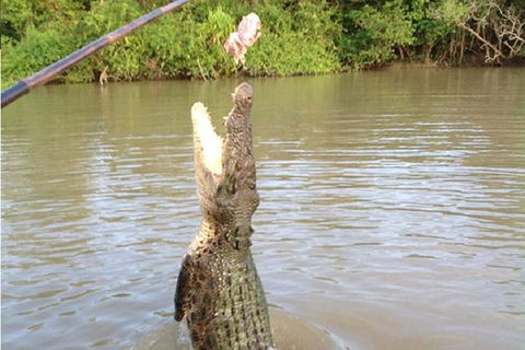 Litchfield National Park And Jumping Crocodile Cruise - Accommodation Resorts 2