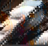 One-Way East Coaster - Accommodation Resorts