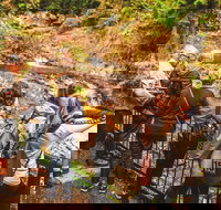 Full-day Springbrook National Park Tour from the Gold Coast - Accommodation Resorts