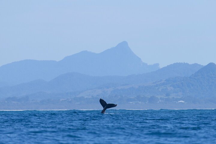 Byron Bay NSW Accommodation Resorts