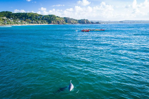 The Byron Bay Sea Kayak Tour - Accommodation Resorts 2