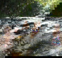 Daintree Rainforest Cape Tribulation Mossman Gorge Small-Group Day Tour - Accommodation Resorts