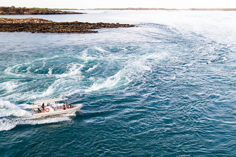 Giant Tides Tour - Cygnet Bay Pearl Farm - Accommodation Resorts 4