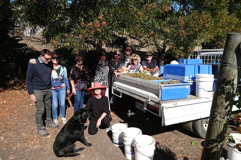 Valleys Of Vino Tour - Accommodation Resorts 1