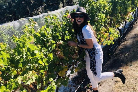 Valleys Of Vino Tour - Accommodation Resorts 3