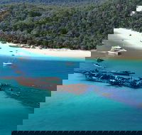 All Inclusive Tangalooma Wrecks Cruise Tour From Gold Coast - Accommodation Resorts