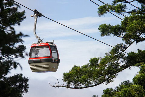 Sydney Taronga Zoo General Entry Ticket And Wild Australia Experience - Accommodation Resorts 2