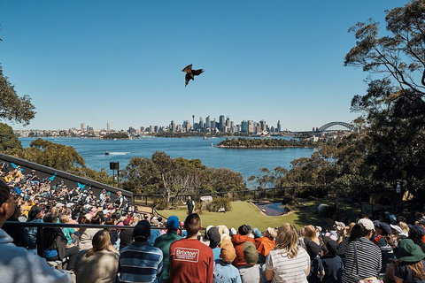Sydney Taronga Zoo General Entry Ticket And Wild Australia Experience - Accommodation Resorts 5