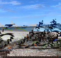 Adelaide City to Sea Bike Tour - Accommodation Resorts