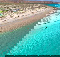 Ningaloo in a Day - Full Day Hike and Snorkel Tour with Lunch - Accommodation Resorts