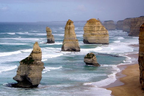 LGBT+ Friendly 2 Day Private Tour Great Ocean Road + Phillip Island - Accommodation Resorts 0
