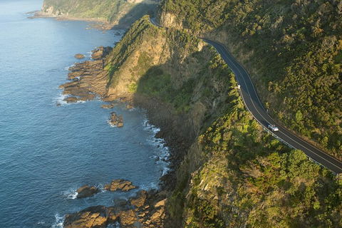 LGBT+ Friendly 2 Day Private Tour Great Ocean Road + Phillip Island - Accommodation Resorts 4