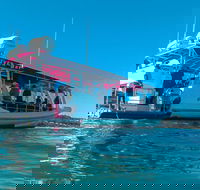 Best of Moreton Bay Cruise - Accommodation Resorts