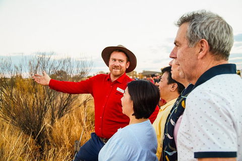 Uluru (Ayers Rock) Sunset With Outback Barbecue Dinner And Star Tour - Accommodation Resorts 3