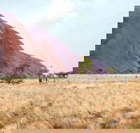 Uluru Sunrise and Guided Base Walk - Accommodation Resorts