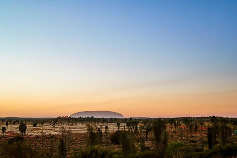 Uluru (Ayers Rock) Field Of Light Sunrise Tour - Accommodation Resorts 0