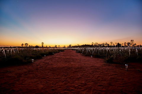 Uluru (Ayers Rock) Field Of Light Sunrise Tour - Accommodation Resorts 3
