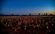 Uluru (Ayers Rock) Field Of Light Sunrise Tour - thumb 4
