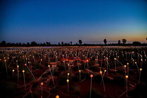 Uluru (Ayers Rock) Field Of Light Sunrise Tour - Accommodation Resorts 4