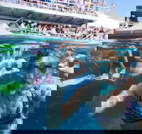 Great Barrier Reef Day Cruise from Cairns Including Snorkeling and Marine Biologist Presentation - Accommodation Resorts