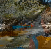 Kayak Tour in Adelaide Dolphin Sanctuary - Accommodation Resorts