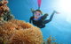 Quicksilver Outer Great Barrier Reef Snorkel Cruise From Palm Cove - thumb 2