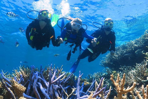 Quicksilver Outer Great Barrier Reef Snorkel Cruise From Palm Cove - Accommodation Resorts 3