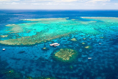 Quicksilver Outer Great Barrier Reef Snorkel Cruise From Palm Cove - Accommodation Resorts 4