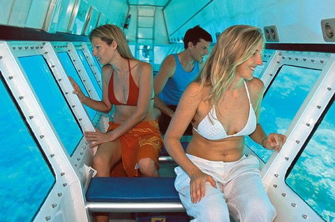 Quicksilver Outer Great Barrier Reef Snorkel Cruise From Palm Cove - Accommodation Resorts 5