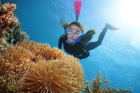 Quicksilver Outer Great Barrier Reef Snorkel Cruise From Port Douglas - Accommodation Resorts 2