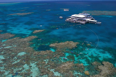 Quicksilver Outer Great Barrier Reef Snorkel Cruise From Port Douglas - Accommodation Resorts 3
