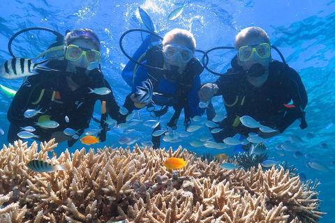Quicksilver Outer Great Barrier Reef Snorkel Cruise From Port Douglas - Accommodation Resorts 4