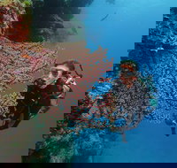 Silversonic Outer Great Barrier Reef Dive and Snorkel Cruise from Port Douglas - Accommodation Resorts