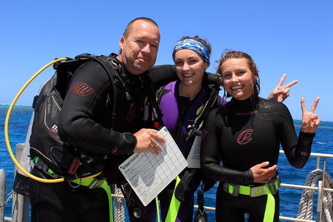 Quicksilver Dive 4 Day PADI Learn To Dive Course - Accommodation Resorts 0