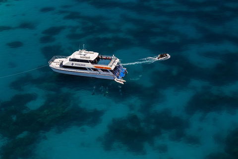 Quicksilver Dive 4 Day PADI Learn To Dive Course - Accommodation Resorts 1