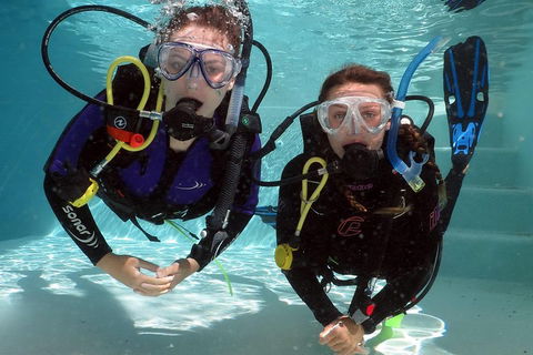 Quicksilver Dive 4 Day PADI Learn To Dive Course - Accommodation Resorts 2