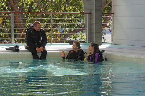 Quicksilver Dive 4 Day PADI Learn To Dive Course - Accommodation Resorts 3