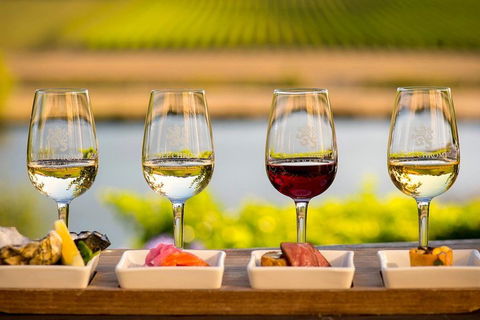 Launceston Private Charter Service - Accommodation Resorts 0
