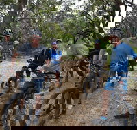 Fully guided E-Mountain Bike Tour on the beautiful Mornington Peninsula. - Accommodation Resorts