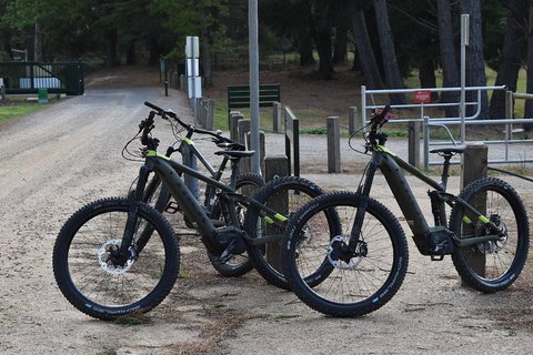 Fully Guided E-Mountain Bike Tour On The Beautiful Mornington Peninsula. - Accommodation Resorts 2