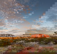 Uluru Kata Tjuta and Kings Canyon Camping Safari from Alice Springs - Accommodation Resorts