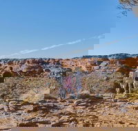 The Amazing Kings Canyon 4-Hours Walking Tour and Hike - Accommodation Resorts