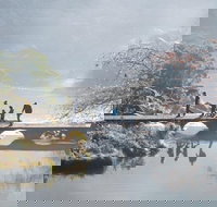 3.5 Hours Walking Tour to Cataract Gorge with Local Guide - Accommodation Resorts