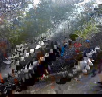 Active Day Tour One-Way from Launceston to Hobart via Wineglass Bay - Accommodation Resorts