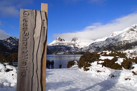 Cradle Mountain Active Day Trip From Launceston - Accommodation Resorts 3